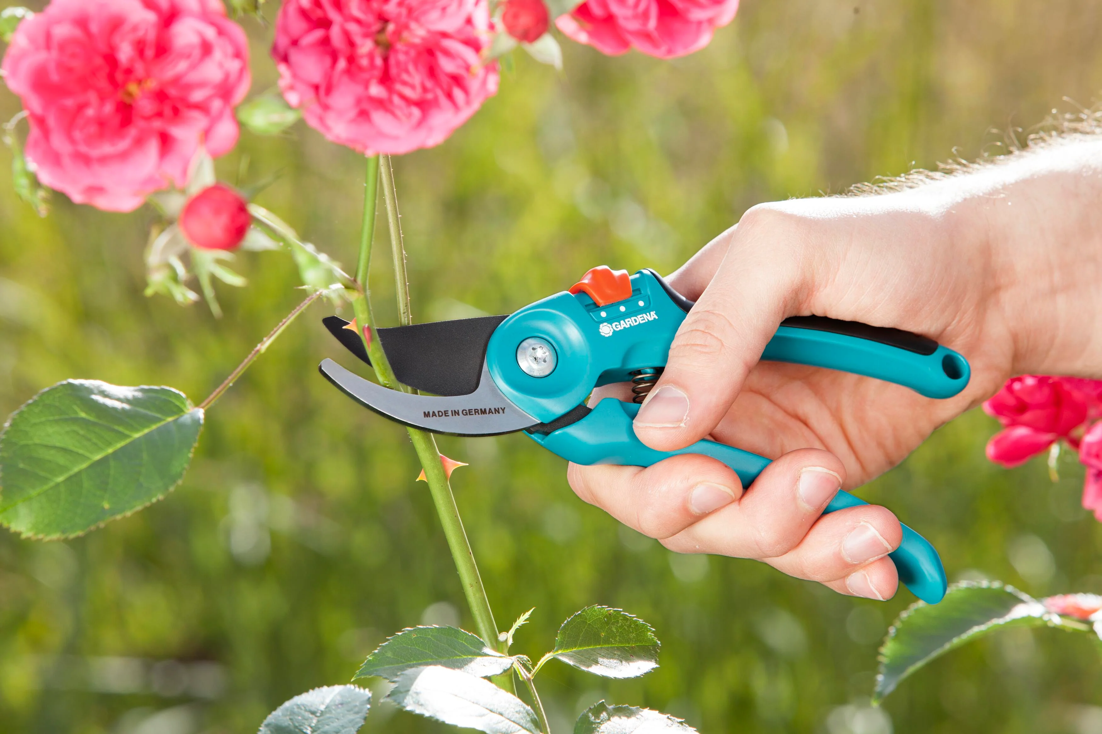 Garden Secateurs B/S-M - Image 2