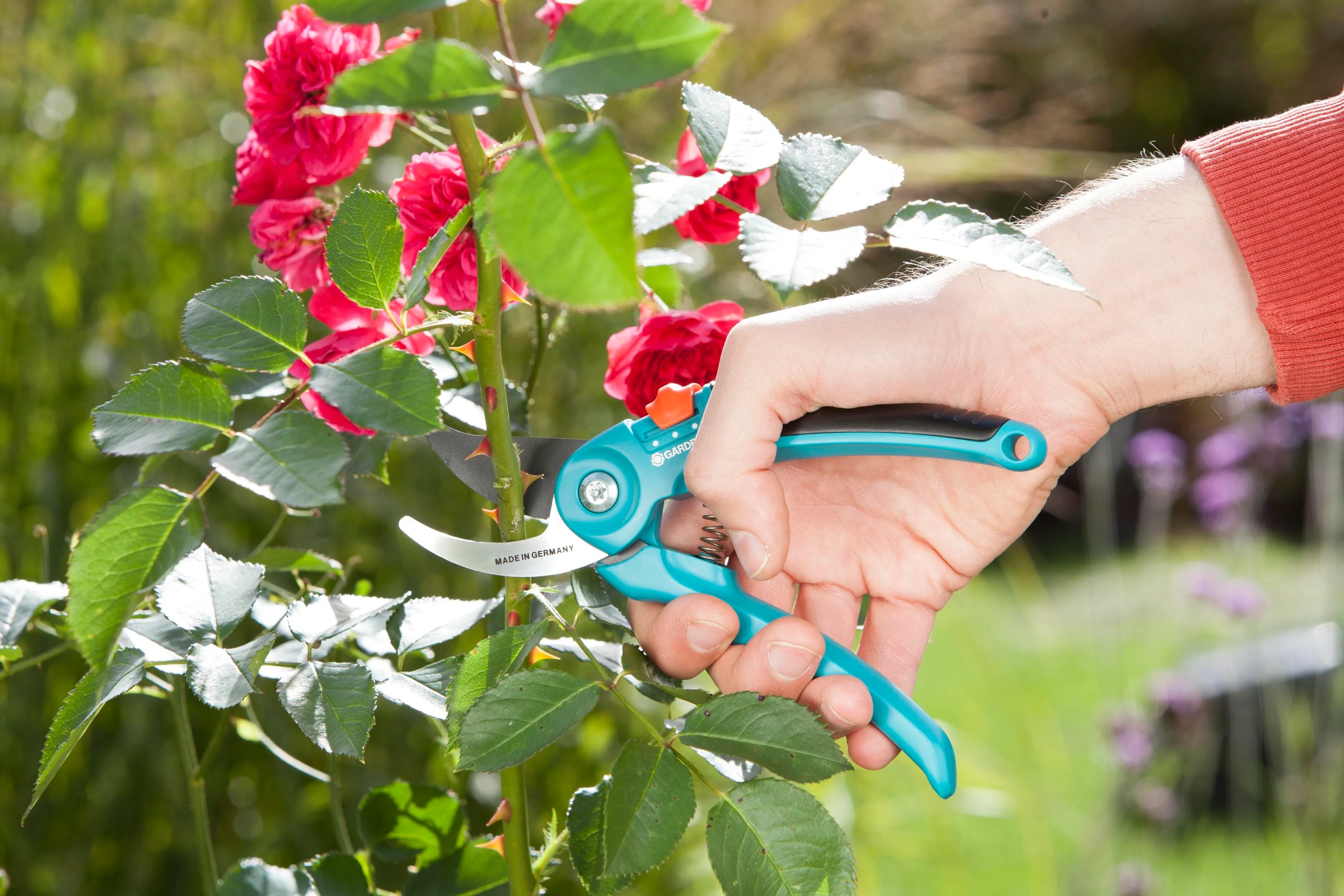 Garden Secateurs B/S-M - Image 4