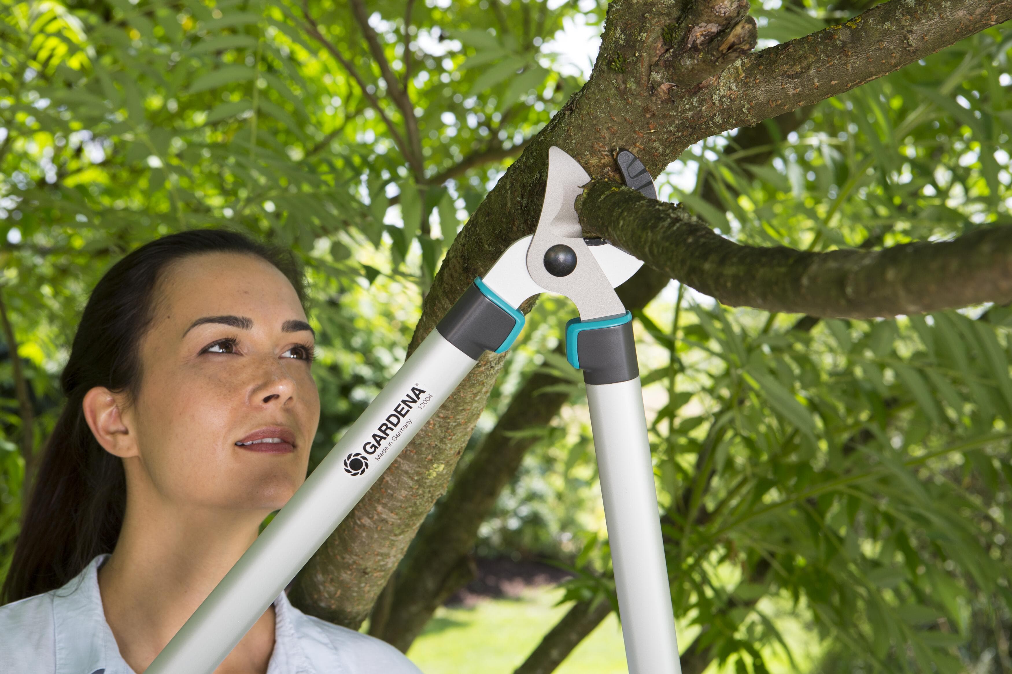 Pruning Lopper EasyCut 680 A - Image 2