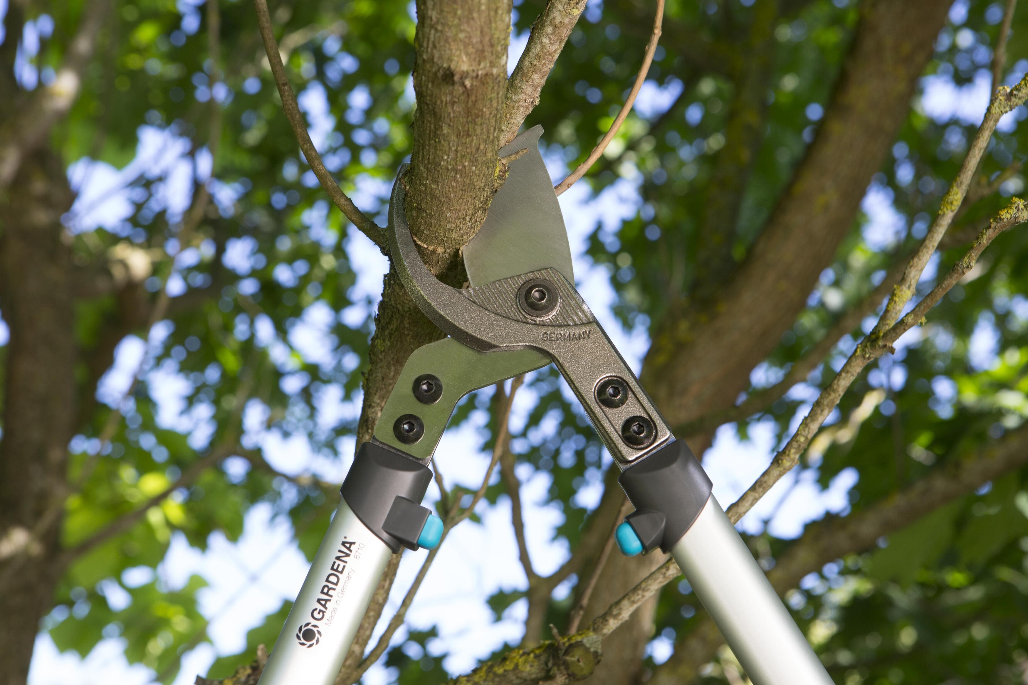 Pruning Lopper _x000D_
PremiumCut 700 B - Image 2